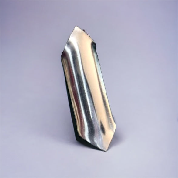 Memento Morí Shield