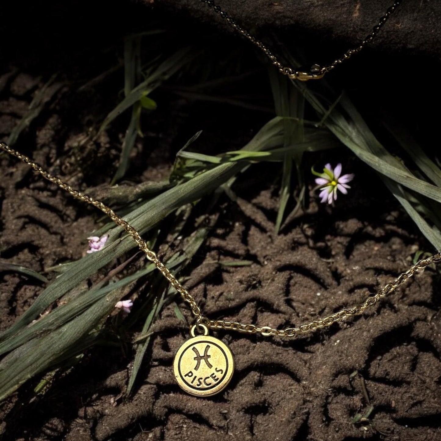 Pisces – The Dream Current