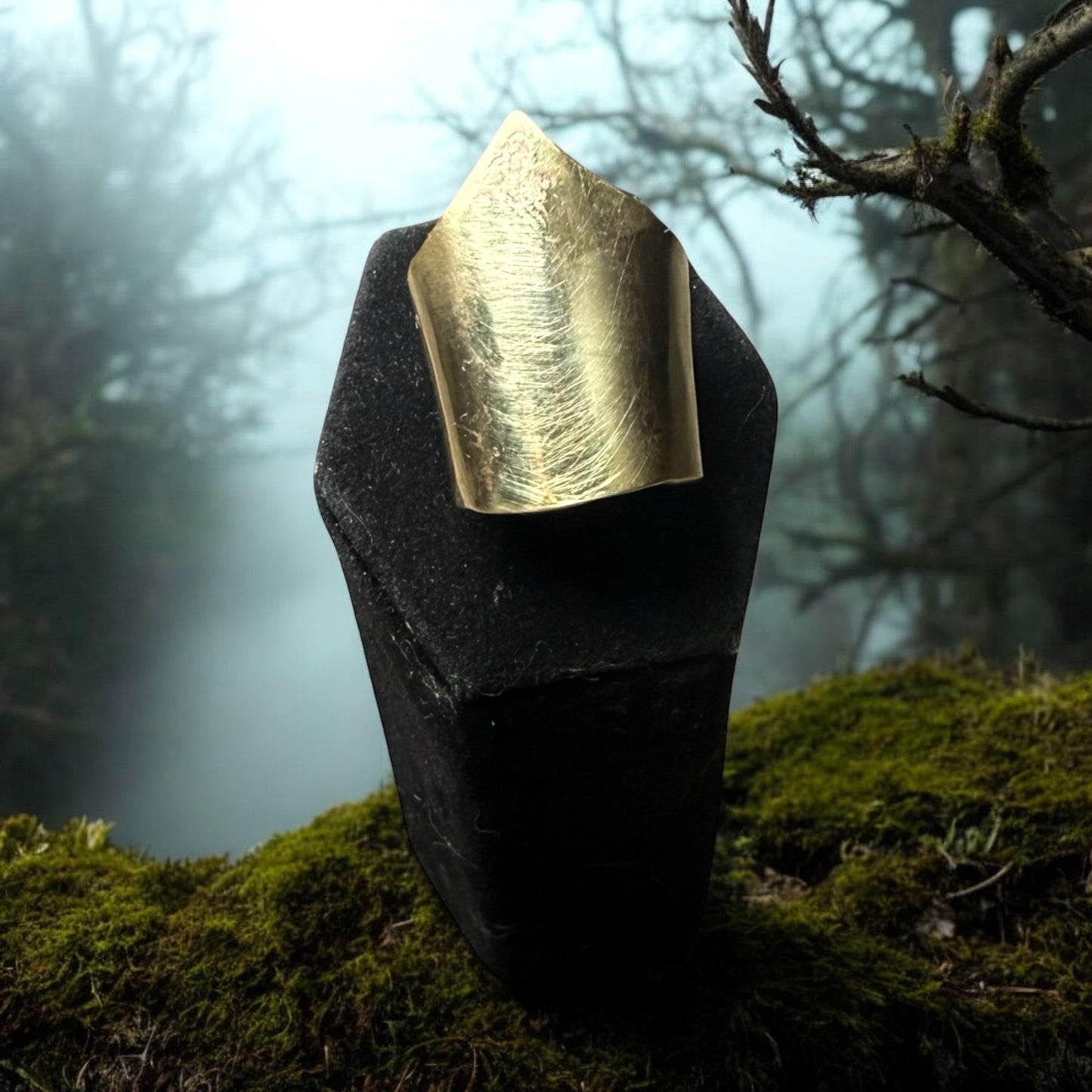 Bronze Phalanx Ring